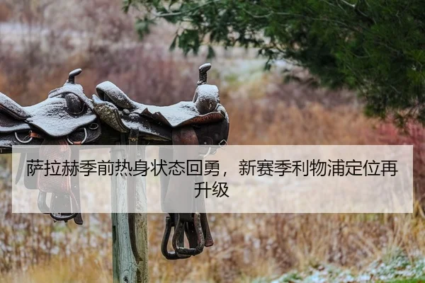 萨拉赫季前热身状态回勇，新赛季利物浦定位再升级